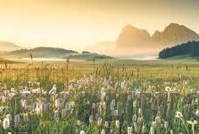 德州扑克app骗局-德州扑克app骗局揭秘，如何在虚拟赌局中保持警惕