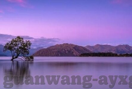抓取足球比分-揭秘足球比分背后的数据江湖，如何精准抓取与深度解析